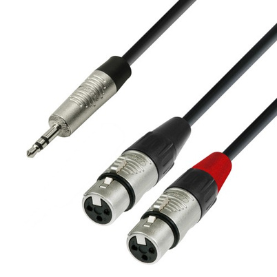 XLR Y Cable, One XLR Female to Dual RCA Female Jacks 1 ft. Long