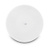 CFL 62 100 V